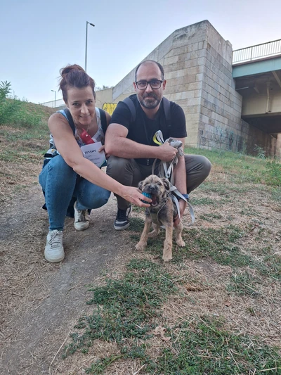 Modri és Ági és Dani