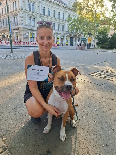 Rex és Timi