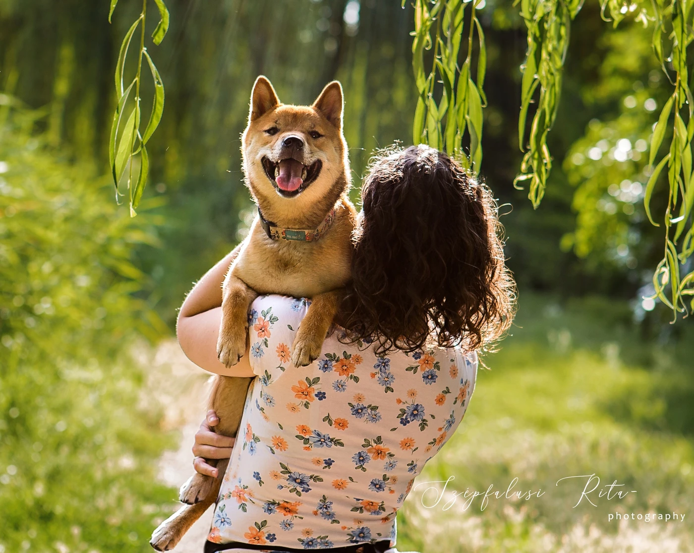 Boldog kutya gazdájával